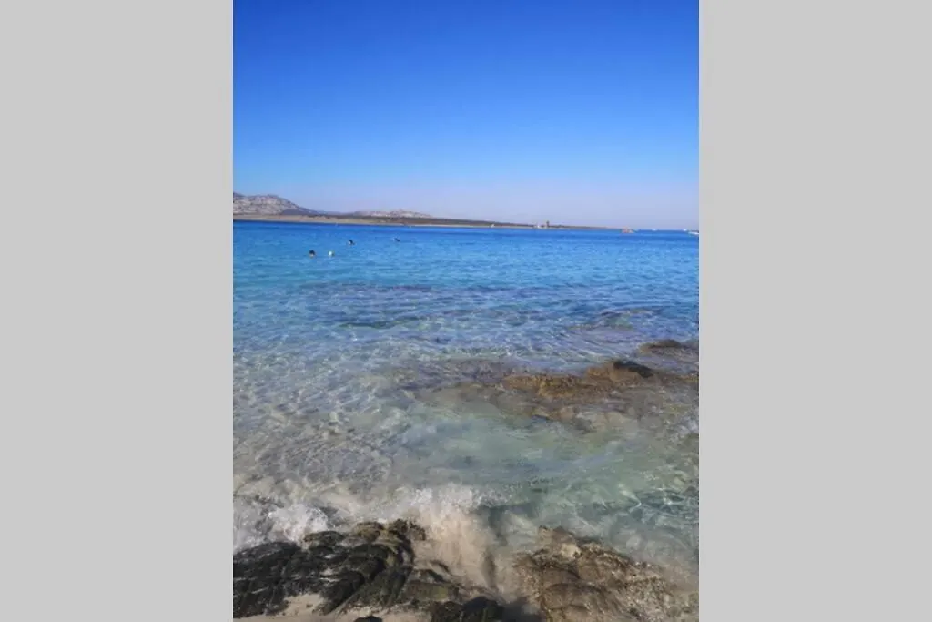 Appartamento Stintino sardegna delizioso bilocale vista mare Italia
